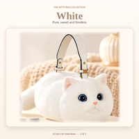 Solid white British Shorthair cat