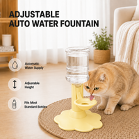 Yellow + One 640ml bottle