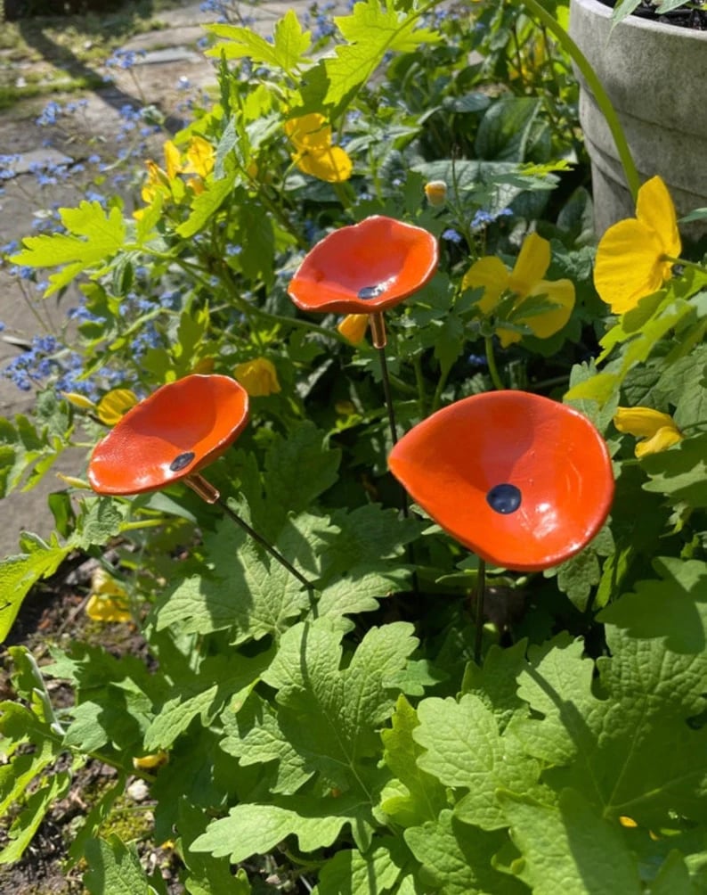 🎖️Spring Limited-Time Offer: 🐝Bee Watering Station,🦋Butterfly Puddler,Hummingbird Drinking Cups