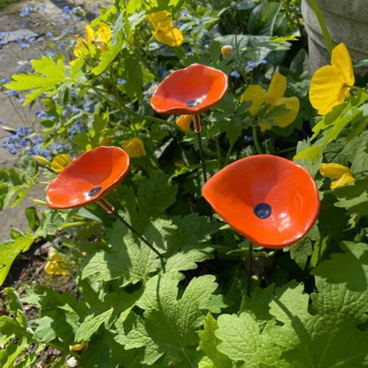 🎖️Spring Limited-Time Offer: 🐝Bee Watering Station,🦋Butterfly Puddler,Hummingbird Drinking Cups