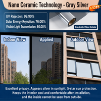 Gray Silver