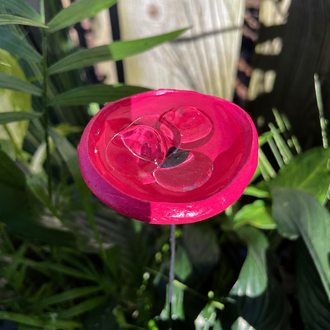 🎖️Spring Limited-Time Offer: 🐝Bee Watering Station,🦋Butterfly Puddler,Hummingbird Drinking Cups