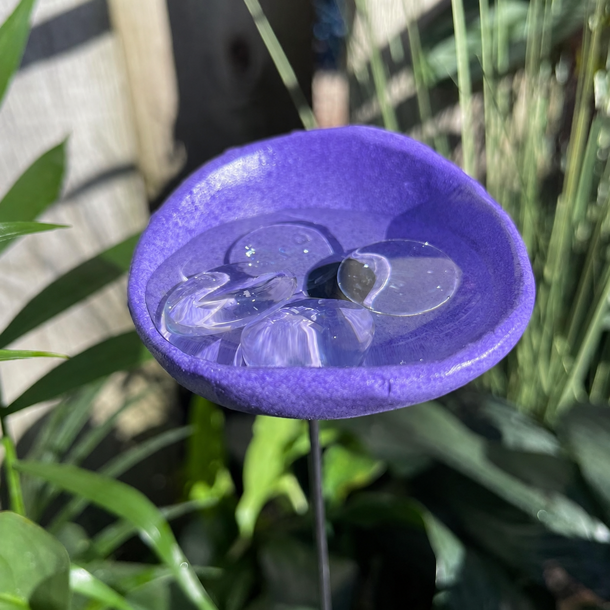 🎖️Spring Limited-Time Offer: 🐝Bee Watering Station,🦋Butterfly Puddler,Hummingbird Drinking Cups