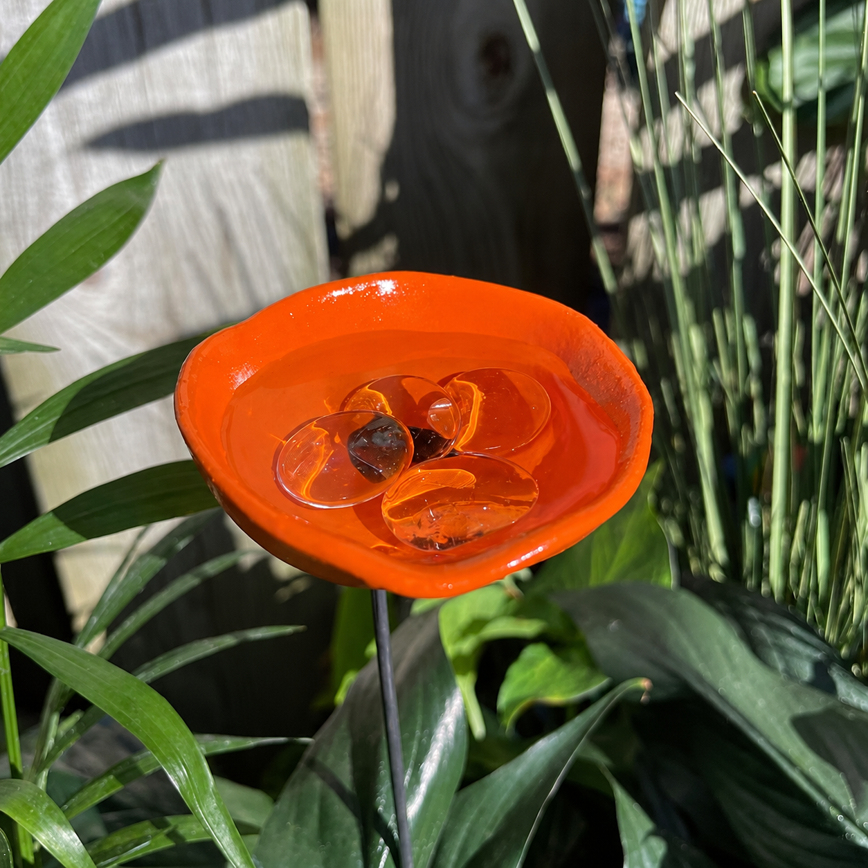 🎖️Spring Limited-Time Offer: 🐝Bee Watering Station,🦋Butterfly Puddler,Hummingbird Drinking Cups