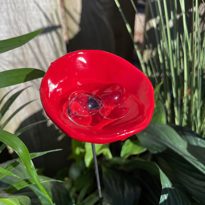 🎖️Spring Limited-Time Offer: 🐝Bee Watering Station,🦋Butterfly Puddler,Hummingbird Drinking Cups