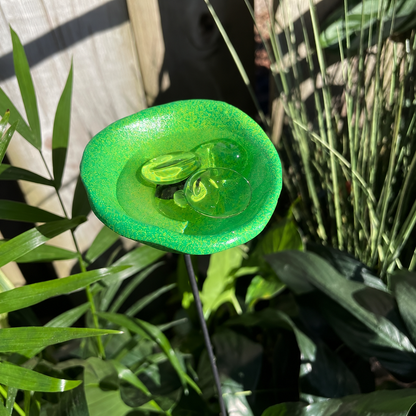 🎖️Spring Limited-Time Offer: 🐝Bee Watering Station,🦋Butterfly Puddler,Hummingbird Drinking Cups