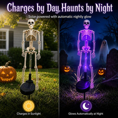 🔥 50% OFF + Buy 2 Get Free Shipping 💀 Solar Skull Garden Stake Light