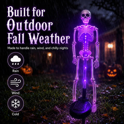 🔥 50% OFF + Buy 2 Get Free Shipping 💀 Solar Skull Garden Stake Light