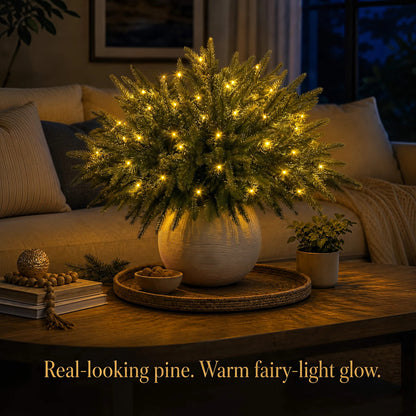🎄 Holiday Home Special | Enchanted Evergreen Pine Set with Warm Lights – Save 44%
