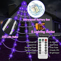 Purple Triangle Net – 250 LEDs, 5m