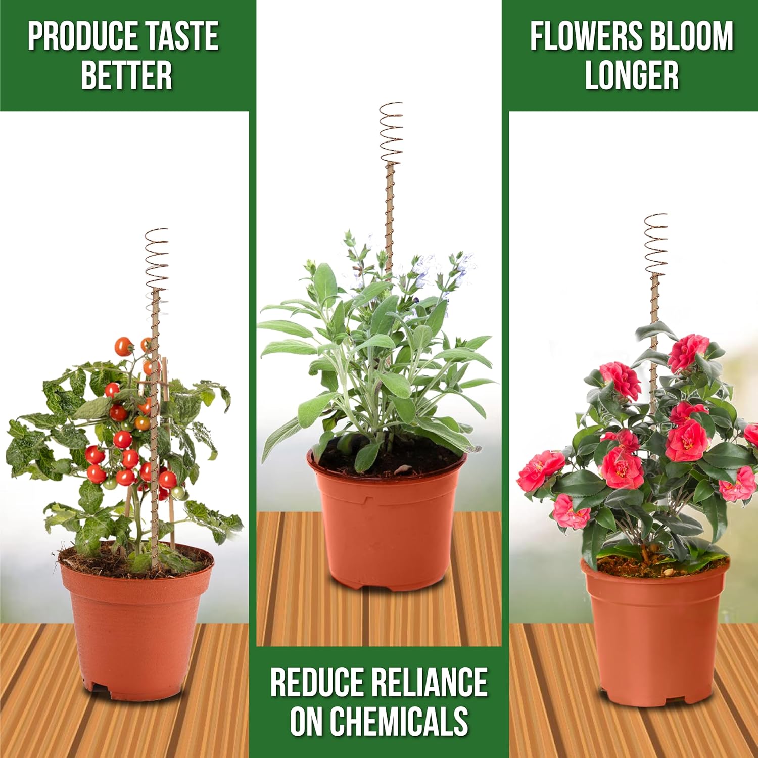 🔥 51% OFF Today ⚡ Electroculture Copper Plant Stakes 8 Pack – Eco-Friendly Garden Support 🌱