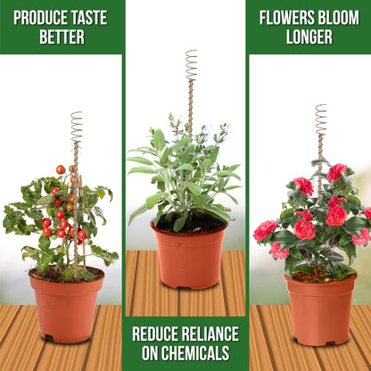 🔥 51% OFF Today ⚡ Electroculture Copper Plant Stakes 8 Pack – Eco-Friendly Garden Support 🌱