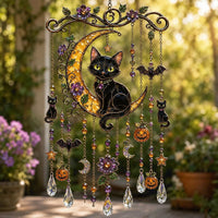 Black Cat on Moon