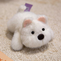 Westie