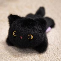 Black Cat