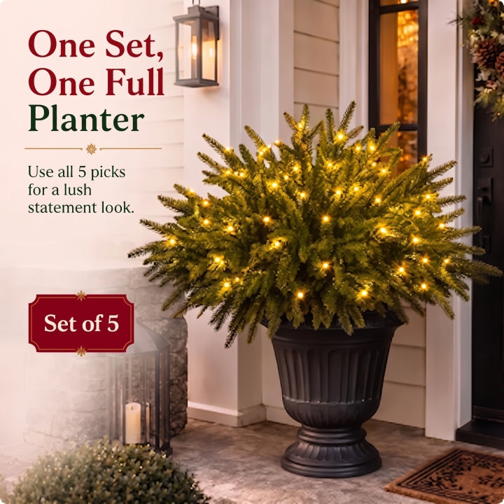 🎄 Holiday Home Special | Enchanted Evergreen Pine Set with Warm Lights – Save 44%